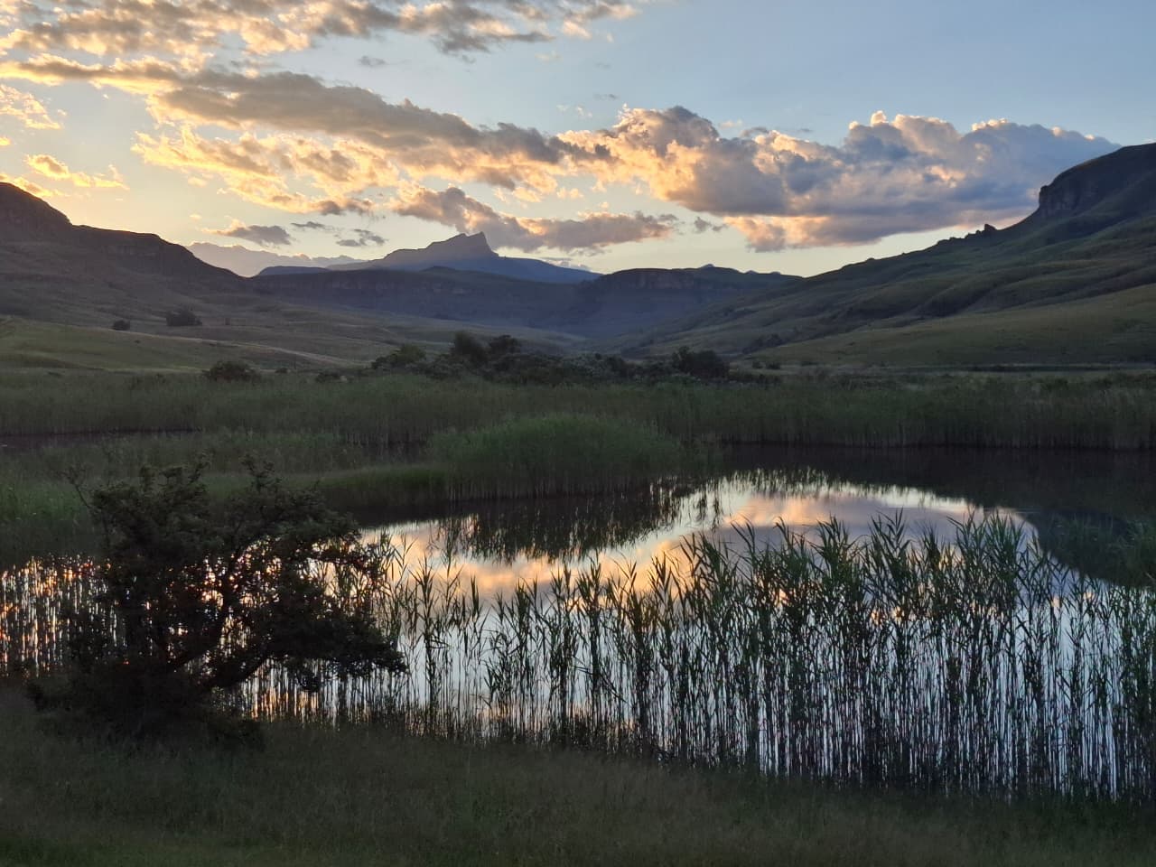 Wetlands reflecting the Drakensberg at dusk