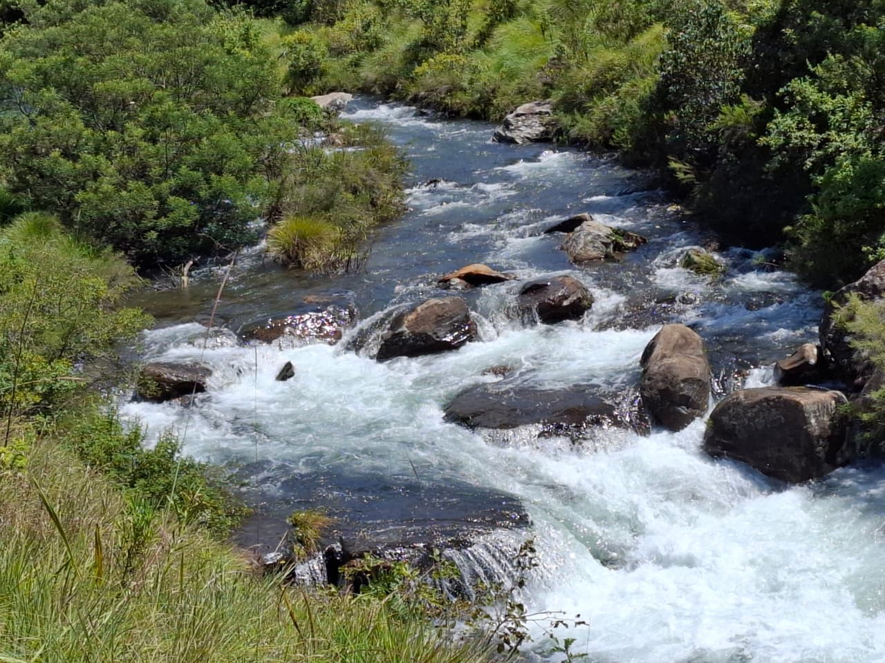 Highland stream near Tendele