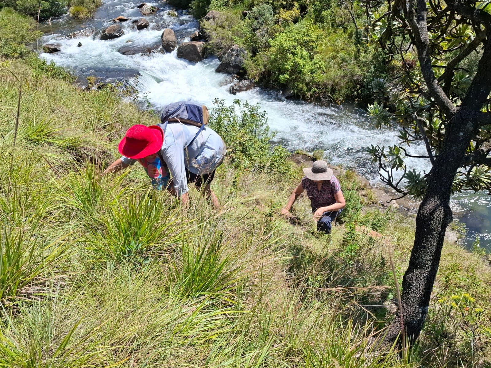 Exploring the mountain streams of the valley